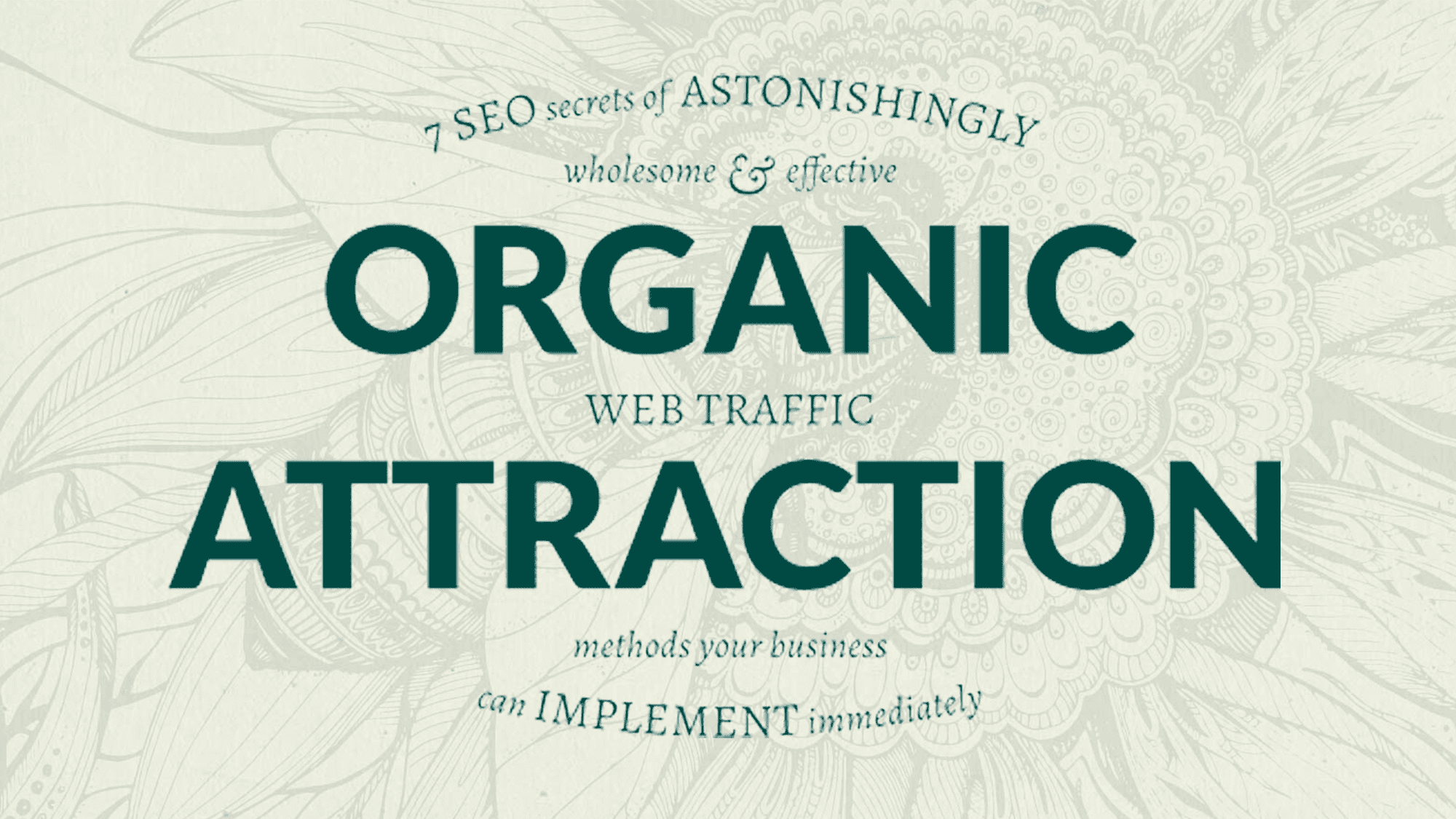 organic web traffic twitter header